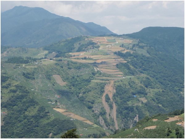 2008-08-12 am 12-37-59-9k望環山附近的果園.jpg
